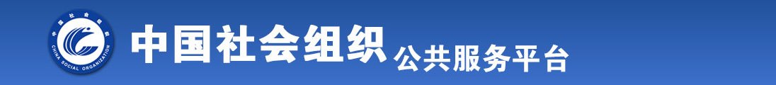 就爱操逼网全国社会组织信息查询